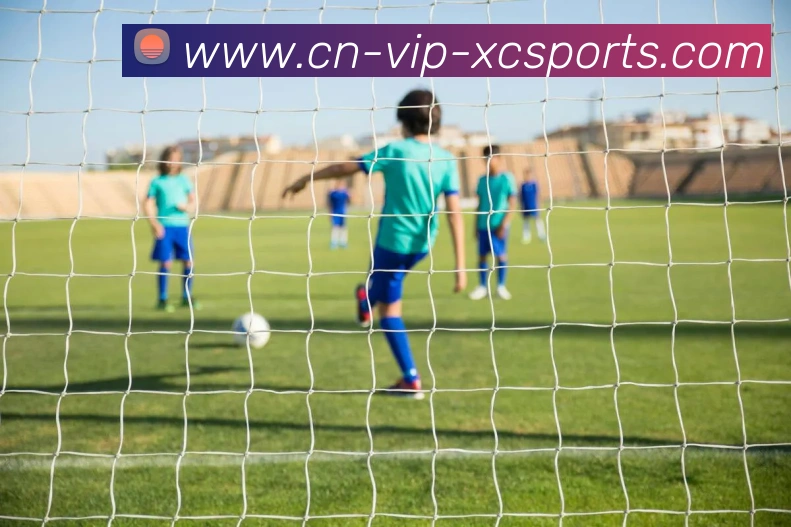 杏彩体育平台生态图