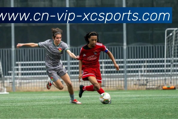 杏彩体育全站App